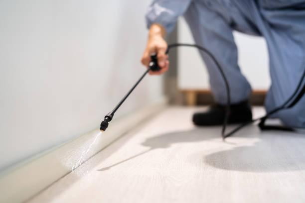 Licensed Mosquito Control service in Bradley, IL - Show Me Pest Control