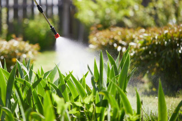 24/7 Emergency Mosquito Control experts in Bradley, IL