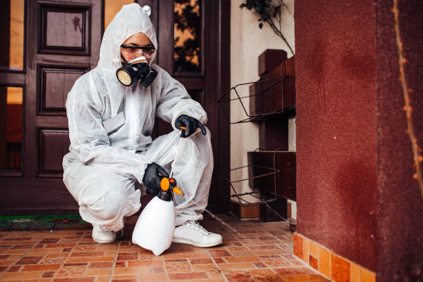 Reliable Mosquito Control contractor in Bradley, IL by Show Me Pest Control