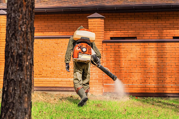 Top rated local Mosquito Control specialists in Bradley, IL